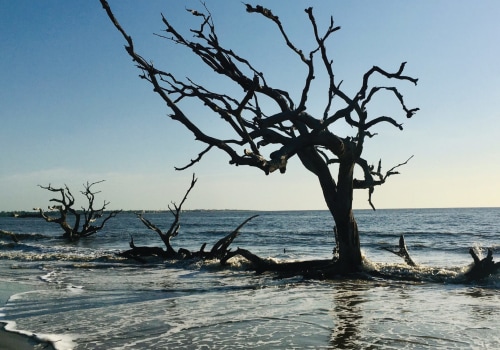 Discover the Hidden Gems of Jekyll Island Beaches